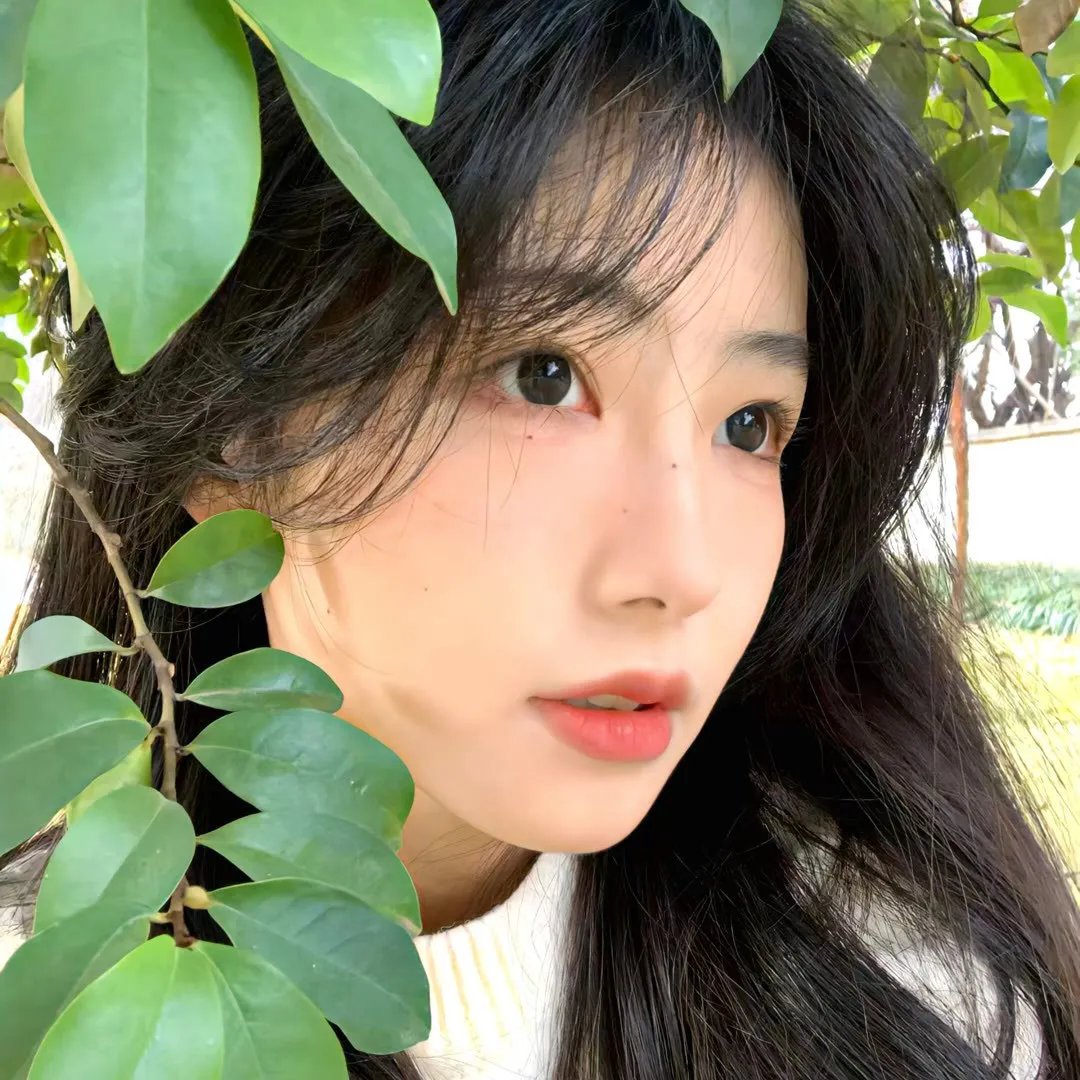白宫隐秘